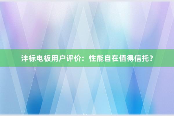 沣标电板用户评价：性能自在值得信托？